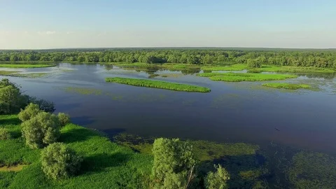 Landscape with river Stock-Footage 99507649