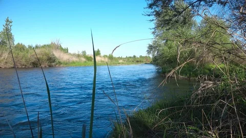 Landscape on the river Vídeo Stock 107683298