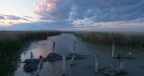 Landscape with river Stock Footage 140346868