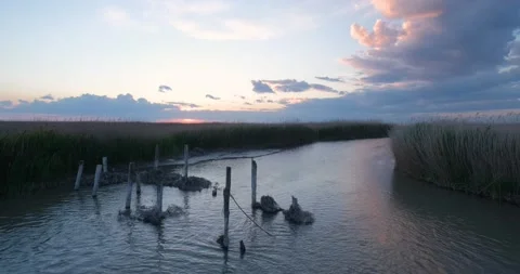 Landscape with river Stock Footage 140346906