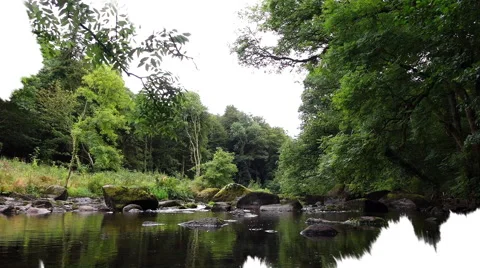 A landscape with a river in a forest appears in an ink smudge spreading. Stock Footage 68353024