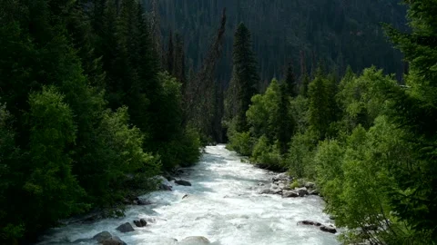 Landscape with river in forest Stock Footage 166958871