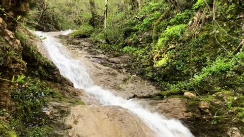 Landscape of the river in the forest Video stock 308108776