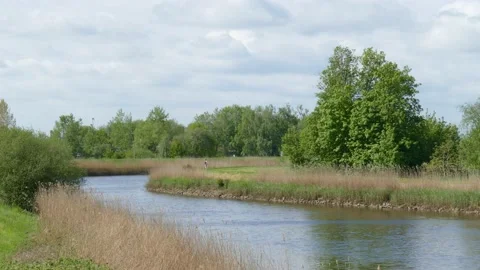 Landscape on the river Hamme, Ritterhude, Lower Saxony, Germany Stock Footage 154732811