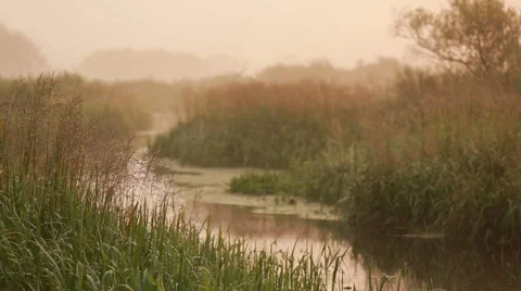 Landscape with river morning. 库存影片 67393036