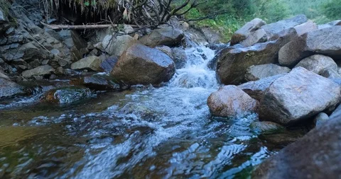 Landscape with river in the mountains Stock Footage 115950188