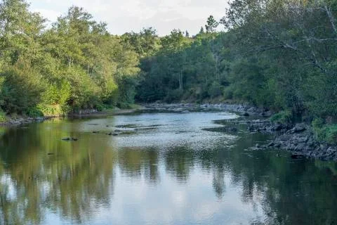 Landscape, river on the mountains Stock Photos