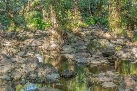 Landscape, river on the mountains Stock Photos