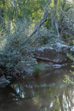 Landscape, river on the mountains Stock Photos