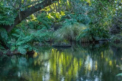Landscape, river on the mountains Stock Photos