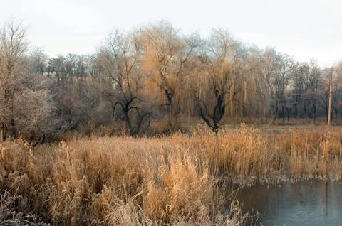 Landscape with river 스톡 사진