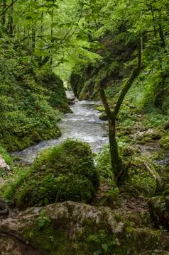 Landscape with a river Foto stock