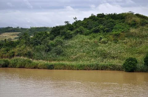 Landscape of river. Stock Photos