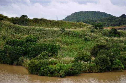 Landscape of river. Foto stock