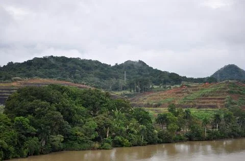 Landscape of river. Stock Photos