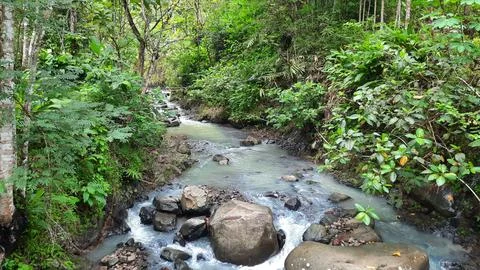 Landscape on the river Foto stock