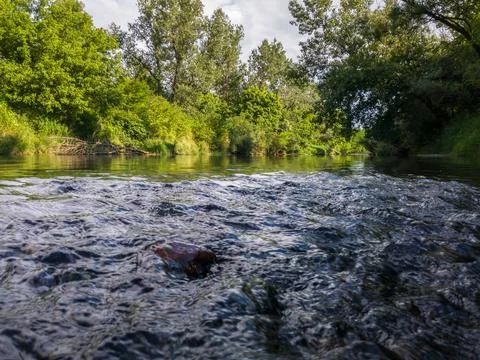 Landscape with river with rapids and flat surface with reflection Stock Photos
