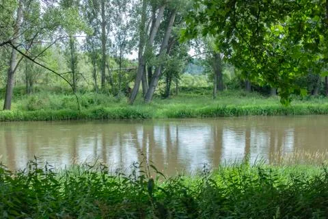 Landscape of a river with reflections. Stock Photos