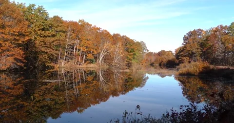 Landscape River Scene Stock Footage 69039582
