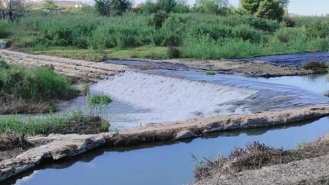 Landscape of river with small waterfall in natural parkland Stock Footage 164651853