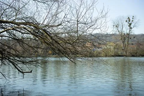 Landscape River. Spring Stock Photos