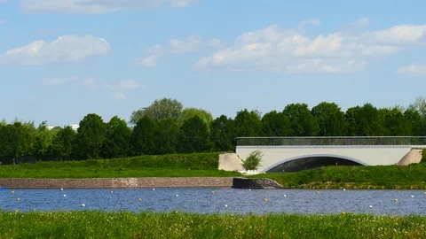 Landscape of the river in the summer park Stock Footage 108943213
