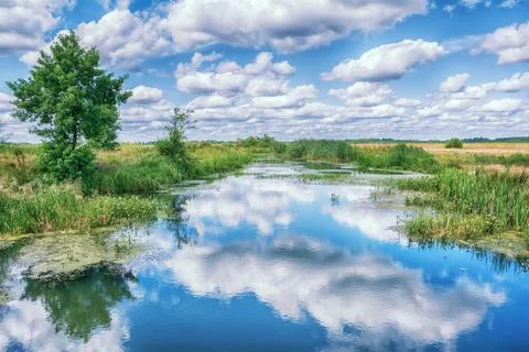 Landscape with river, trees and clouds in the sky. Stock Photos