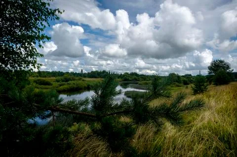 Landscape with river, trees and clouds. Stock-Fotos