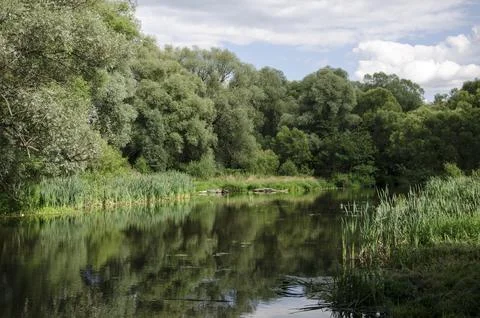 Landscape with a river, trees and clouds reflected in the water Stock Photos