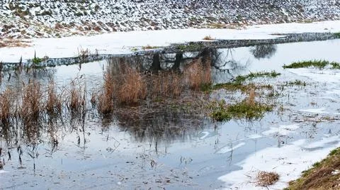 Landscape with a river, trees, reflections in the water in winter. Stock Photos