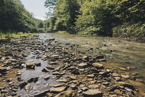 Landscape with a river valley Stock Photos
