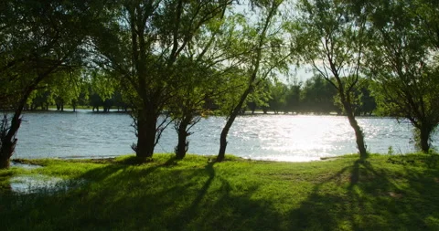 Landscape with river view Stock Footage 155020831