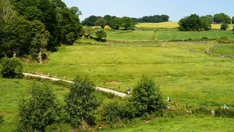 Landscape on the road between O Cebreiro and Sarria, Provincia Galicia, Spain. Stock Footage 130856953