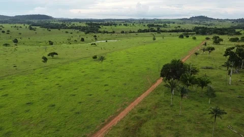 Landscape with a road Video stock 234224700