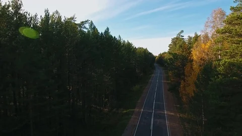 Landscape of road at forest. Drone landscape of road in autumn forest Stock-Footage 80901358