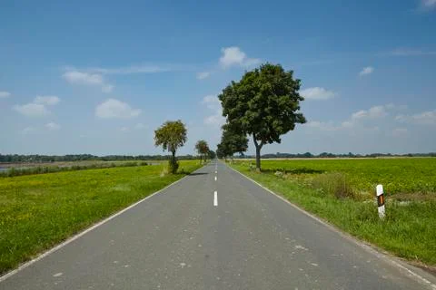 Landscape with road Stock Photos