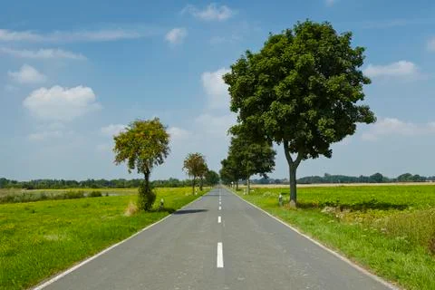Landscape with road Foto stock