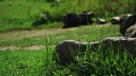 Landscape rock and grass Видео 88742573
