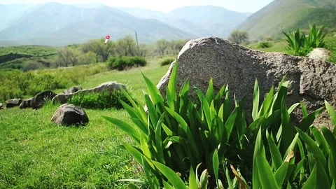 Landscape rock and grass Видео 88742804