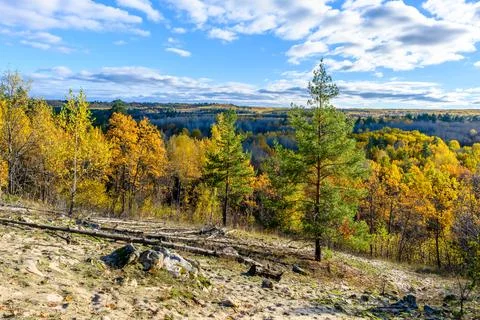 Landscape with rock in forest. Foto stock