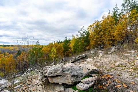 Landscape with rock in forest. Stock Photos