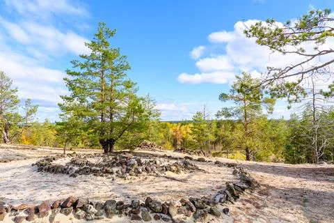 Landscape with rock in forest. Stock Photos