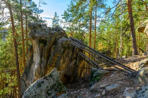 Landscape with rock in forest. Stock Photos