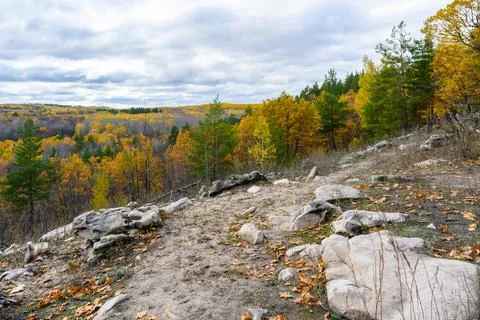 Landscape with rock in forest. Stock Photos