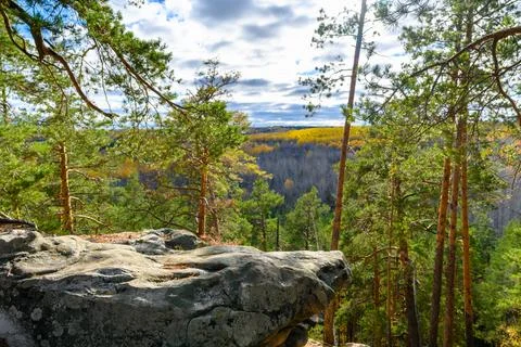 Landscape with rock in forest. Foto stock