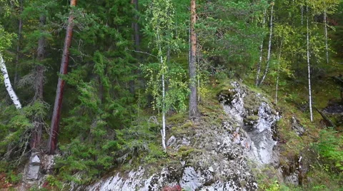 Landscape rocks, forest, river Stock Footage 48816136