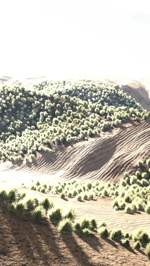 Landscape with rolling hills and trees under bright sky during daytime Stock Footage 342946282