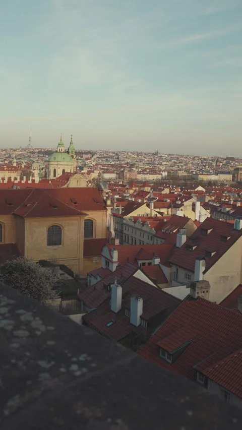 Landscape with rooftops Stock Footage 221264807