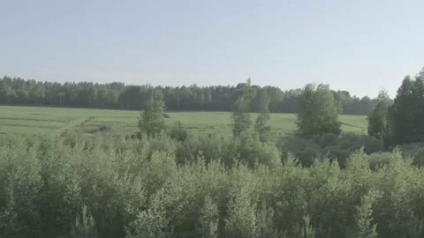 Landscape from running train Stock Footage 136180518