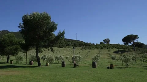 Landscape in rural, Spain Video stock 56869542